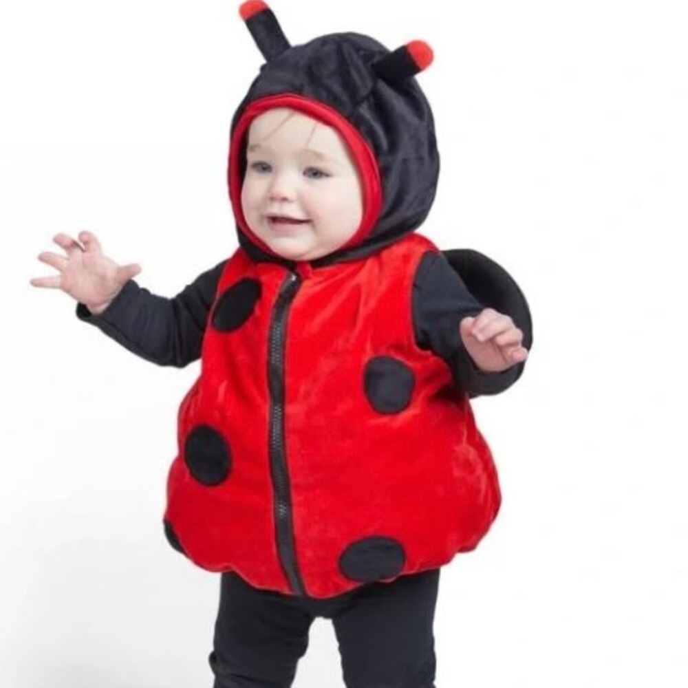 Fun of a Kind Red & Black Lady Bug Plush Costume 18 mos NWT